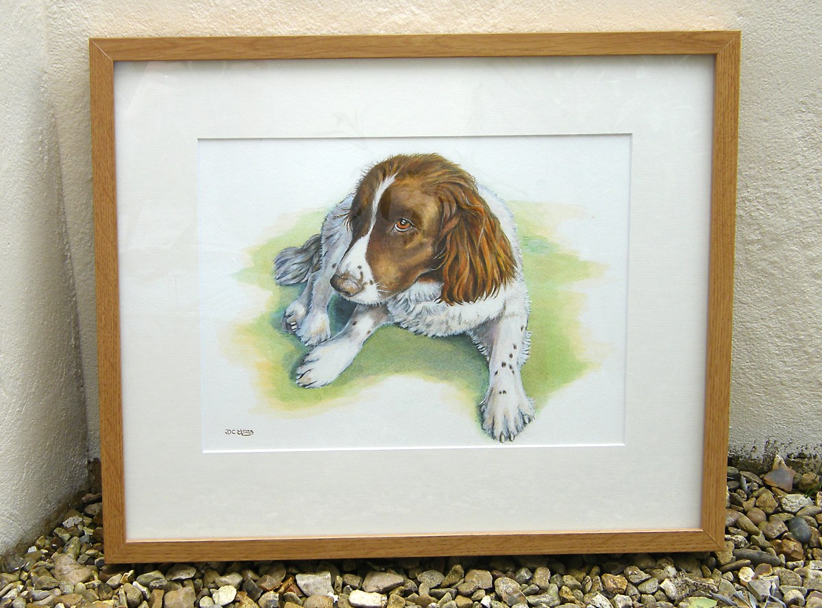 Toby Pet Portrait Commission Painting of a springer spaniel by artist Diane Young