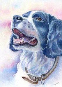 A  painting of a dog portrait by artist Diane Young