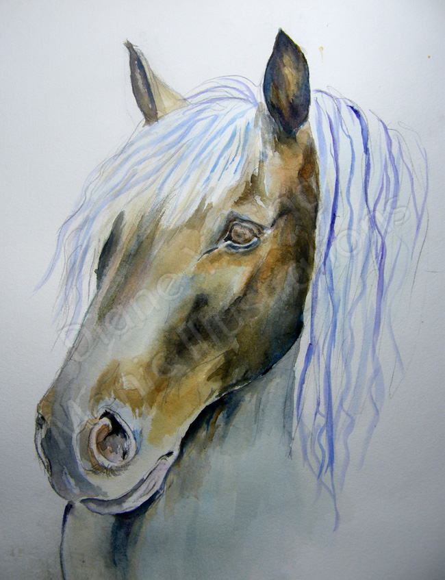 Horse-Head-sketch-painting by Artist Diane Young of Manic Illustrations