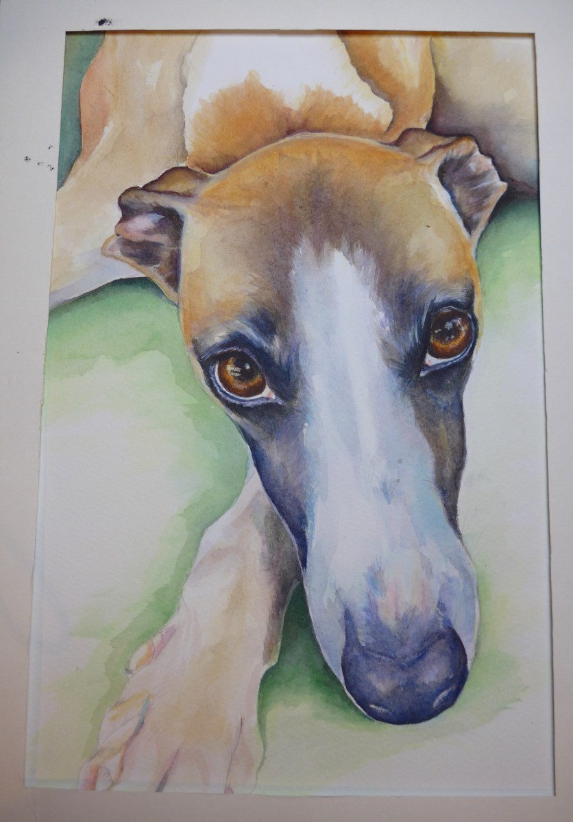 Unfinished Whippet painting Pet Portait Dog Work In Progress by artist Diane Young