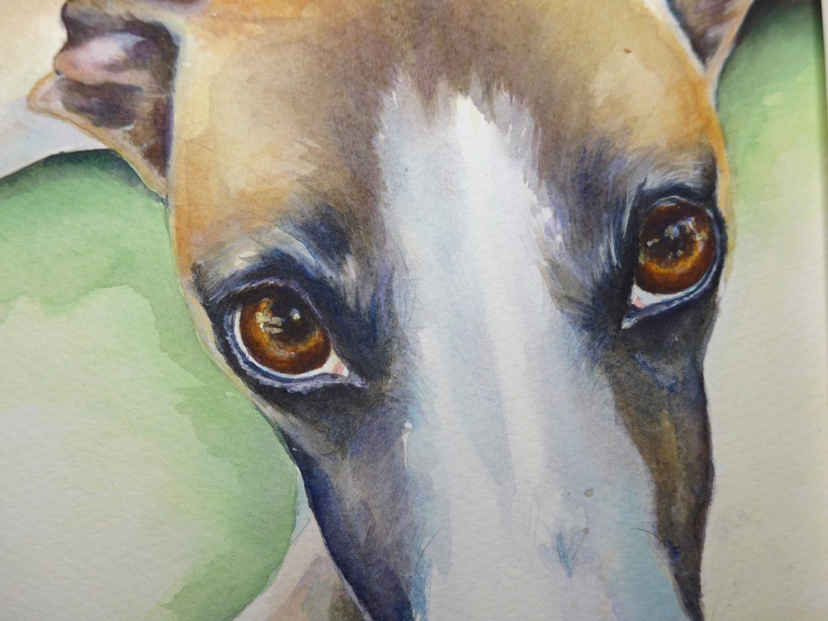 Whippet painting WIP (2) Close up by artist Diane Young