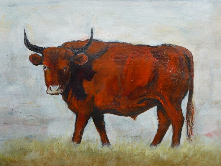 Painting of a bull at Minchinhampton Stroud by artist Diane Young