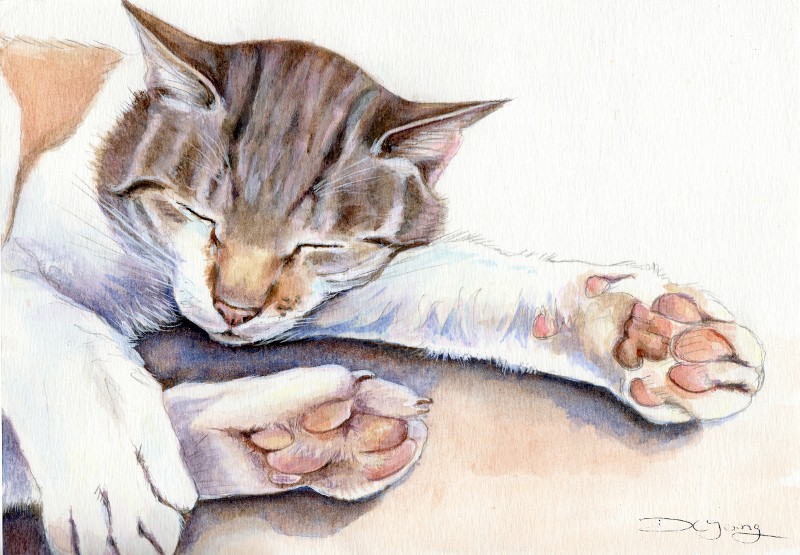 Painting of a Tabby Cat by Artist Diane Young Pet Portraits and animal art