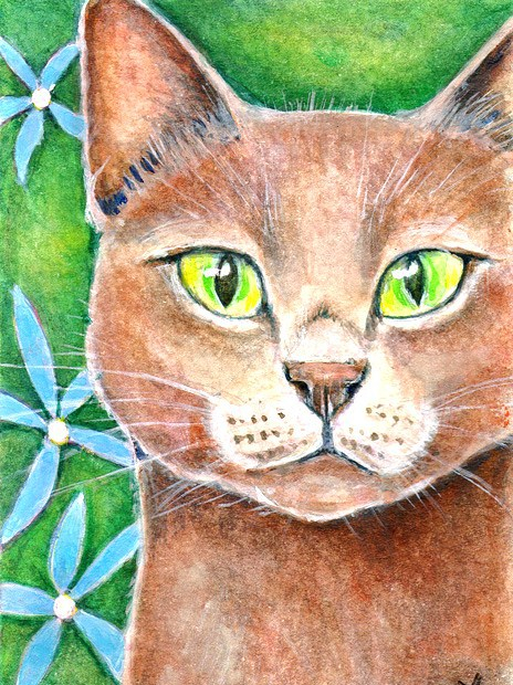 Print of a Painting of a Cat with Green Eyes by artist Diane Young Stroud