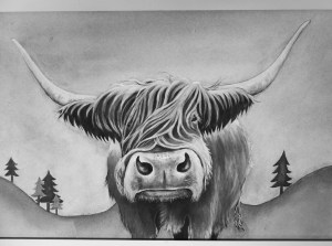 Monochrome photo of painting of Highland Cow by Diane Young
