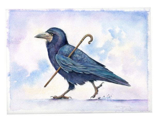 Painting of a Rook Bird by artist Diane Young