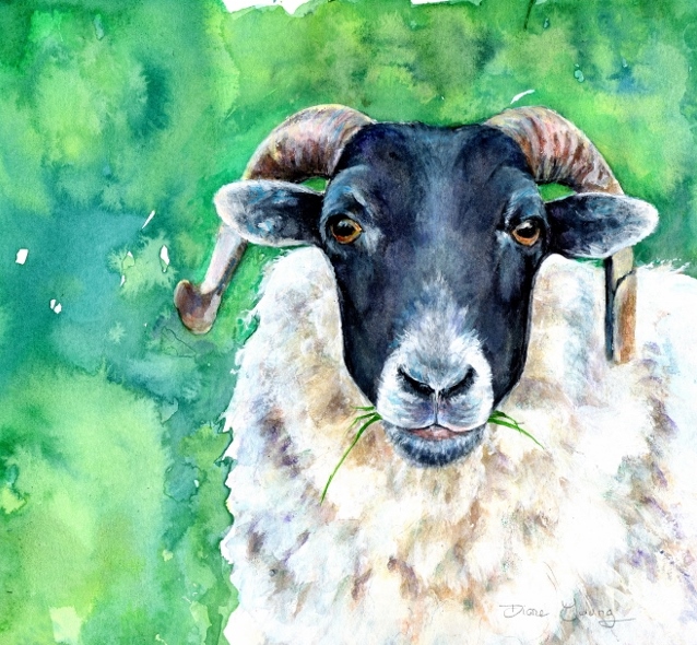 Painting of a horned sheep from Scotland by Artist Diane Young