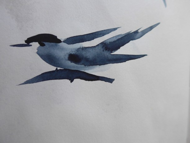 Painting of a Tern with a Chinese Brush by artist Diane Young