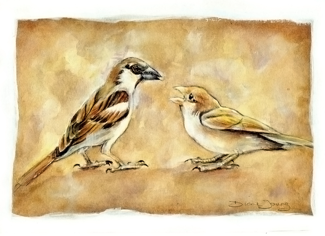 Sparrows for wweb