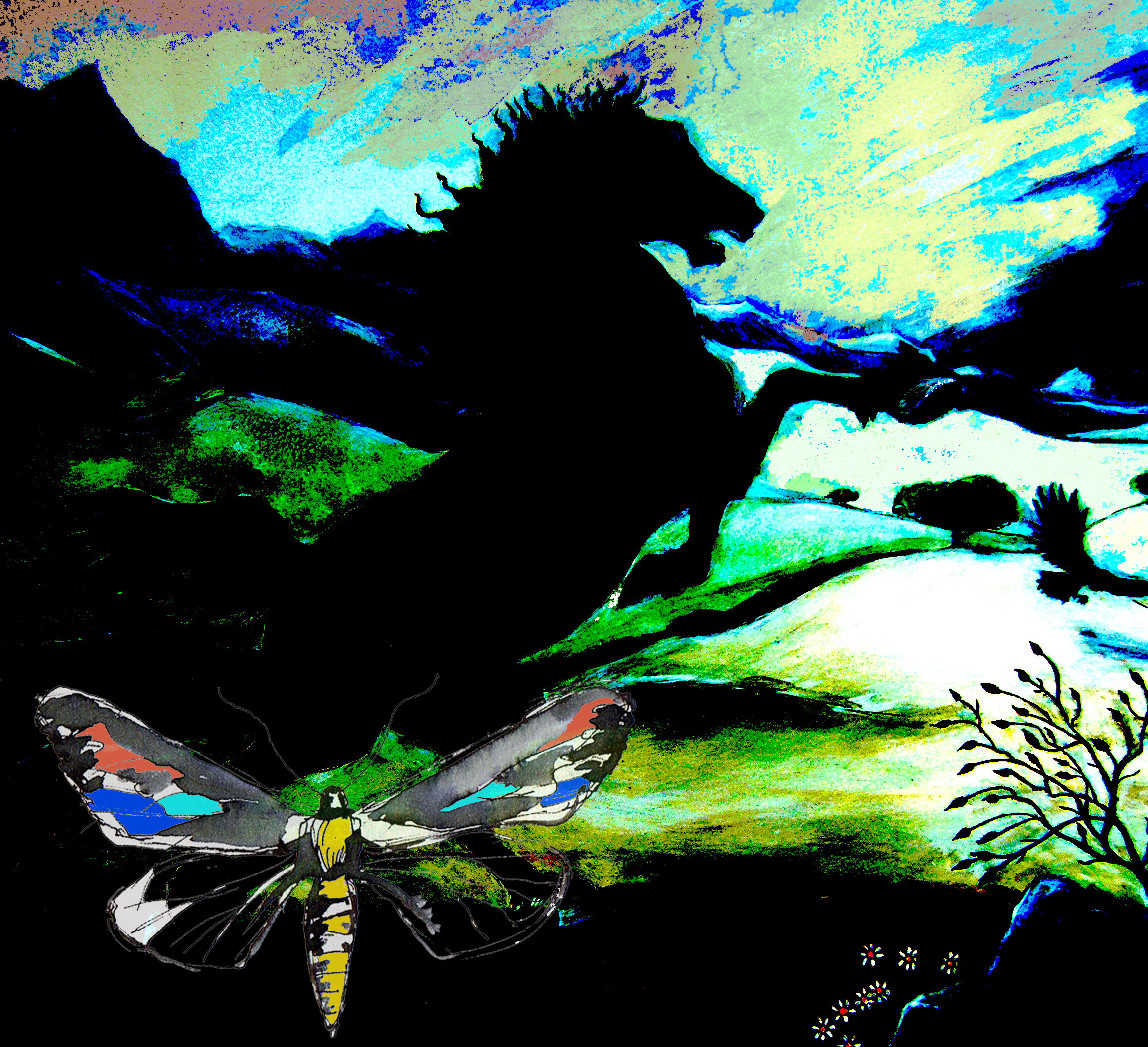 Horse Rearing cropped 2