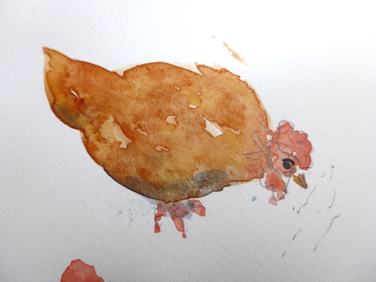 Quick sketch painting of a chicken by artist Diane Young