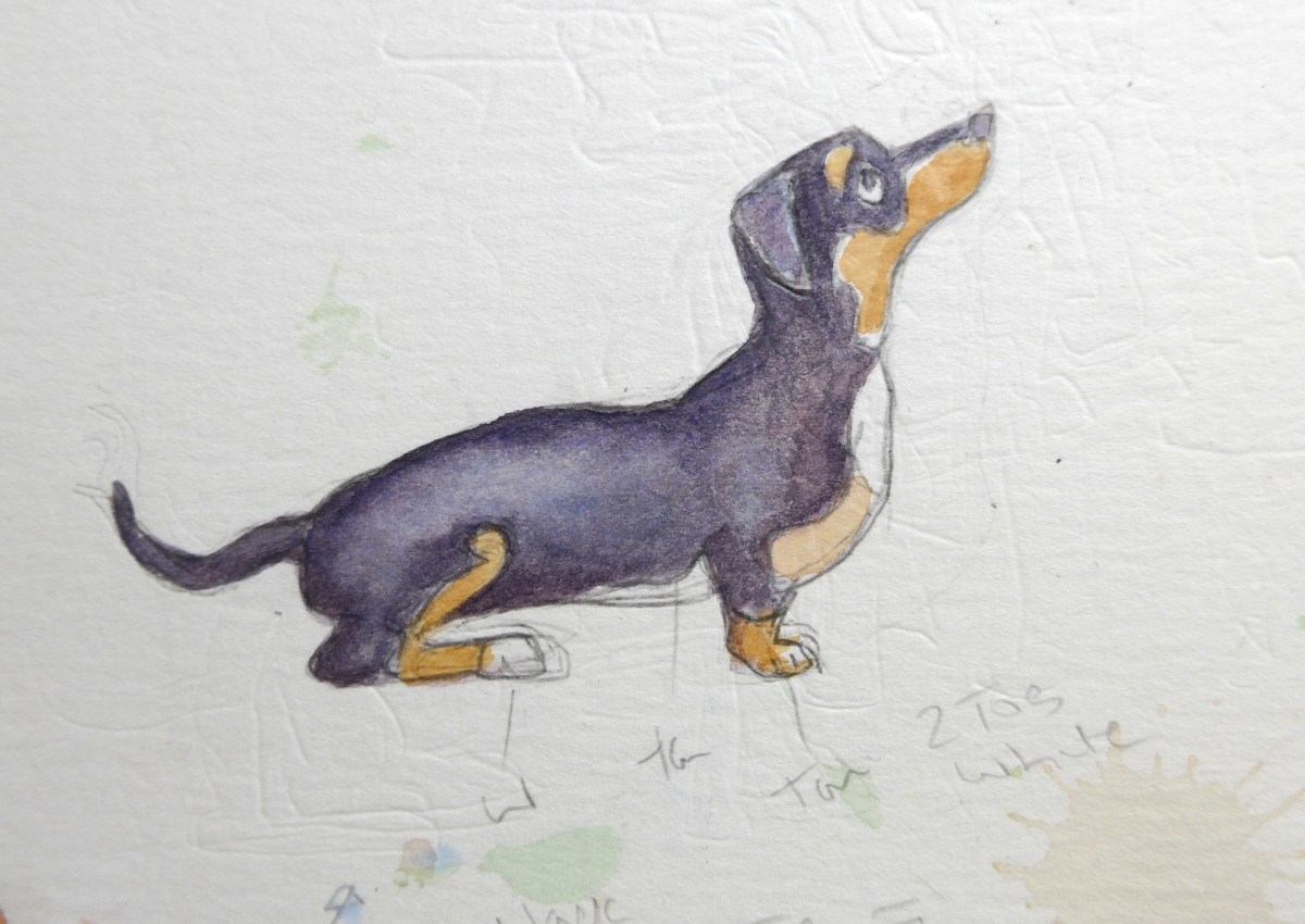 Quick sketch painting of a dachshund dog by artist Diane young