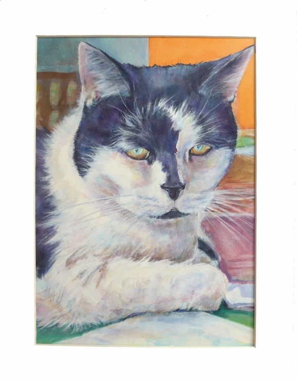 Portrait painting of a black and white cat called Patch by artist Diane Young