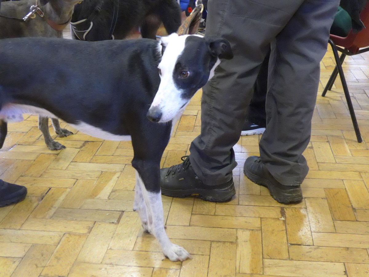 Art and crafts for sale at festive fayre