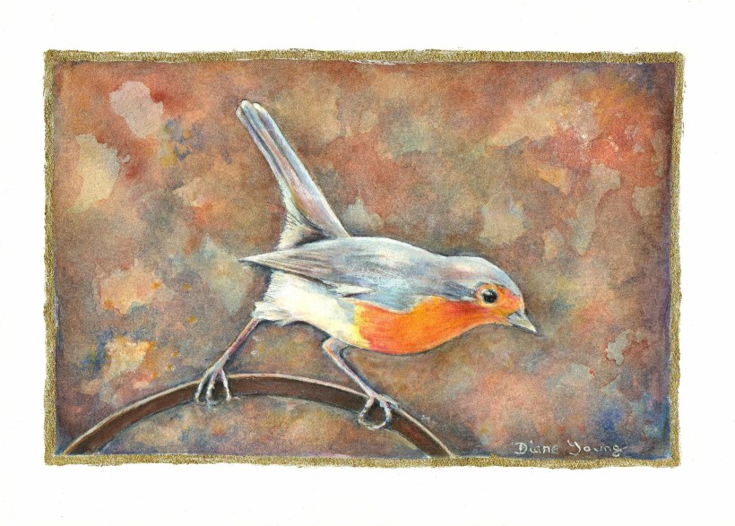 Painting of a robin by artist Diane Young