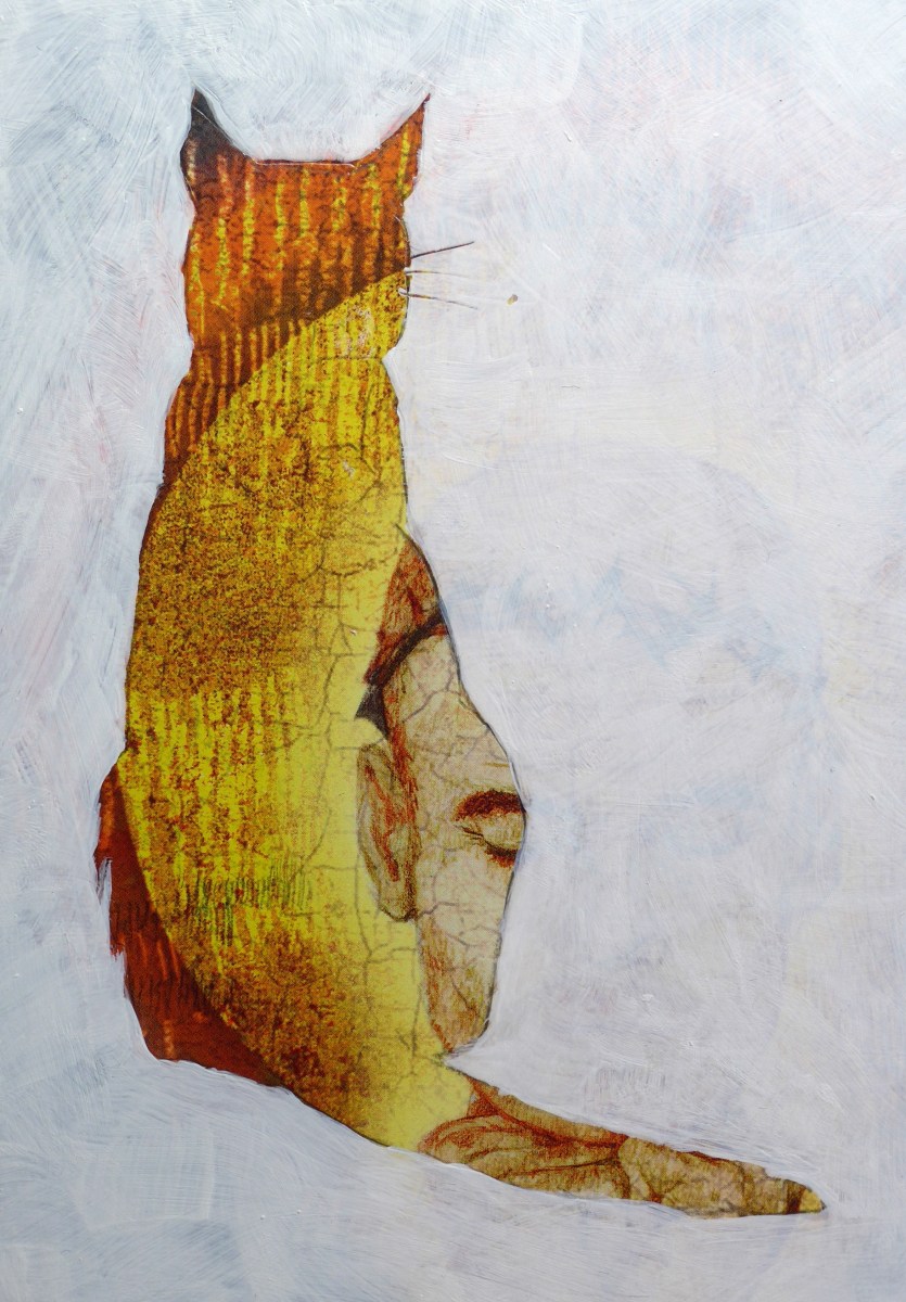 Cat in profile with abstract detail by artist Diane Young