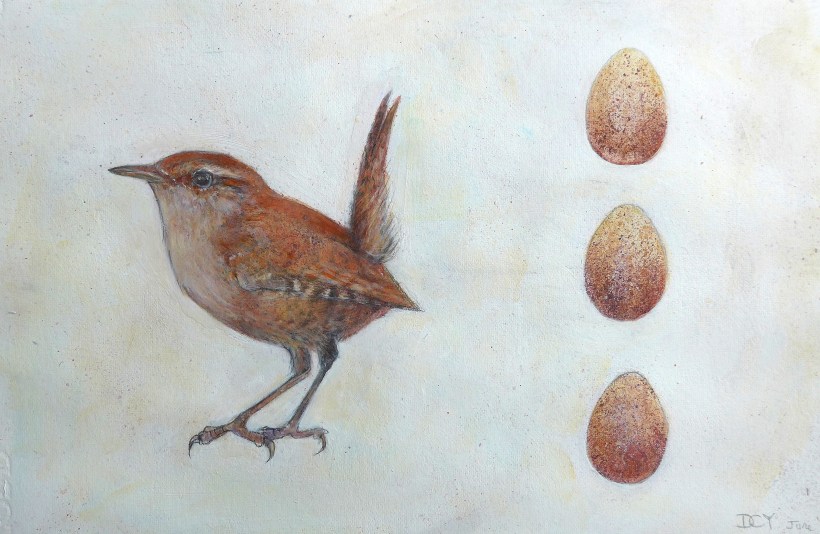 Painting showing painting of a wren and three eggs by artist Diane Young