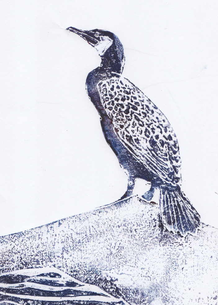 Contrasted collagraph print of a Cormorant by bird artist Diane Young