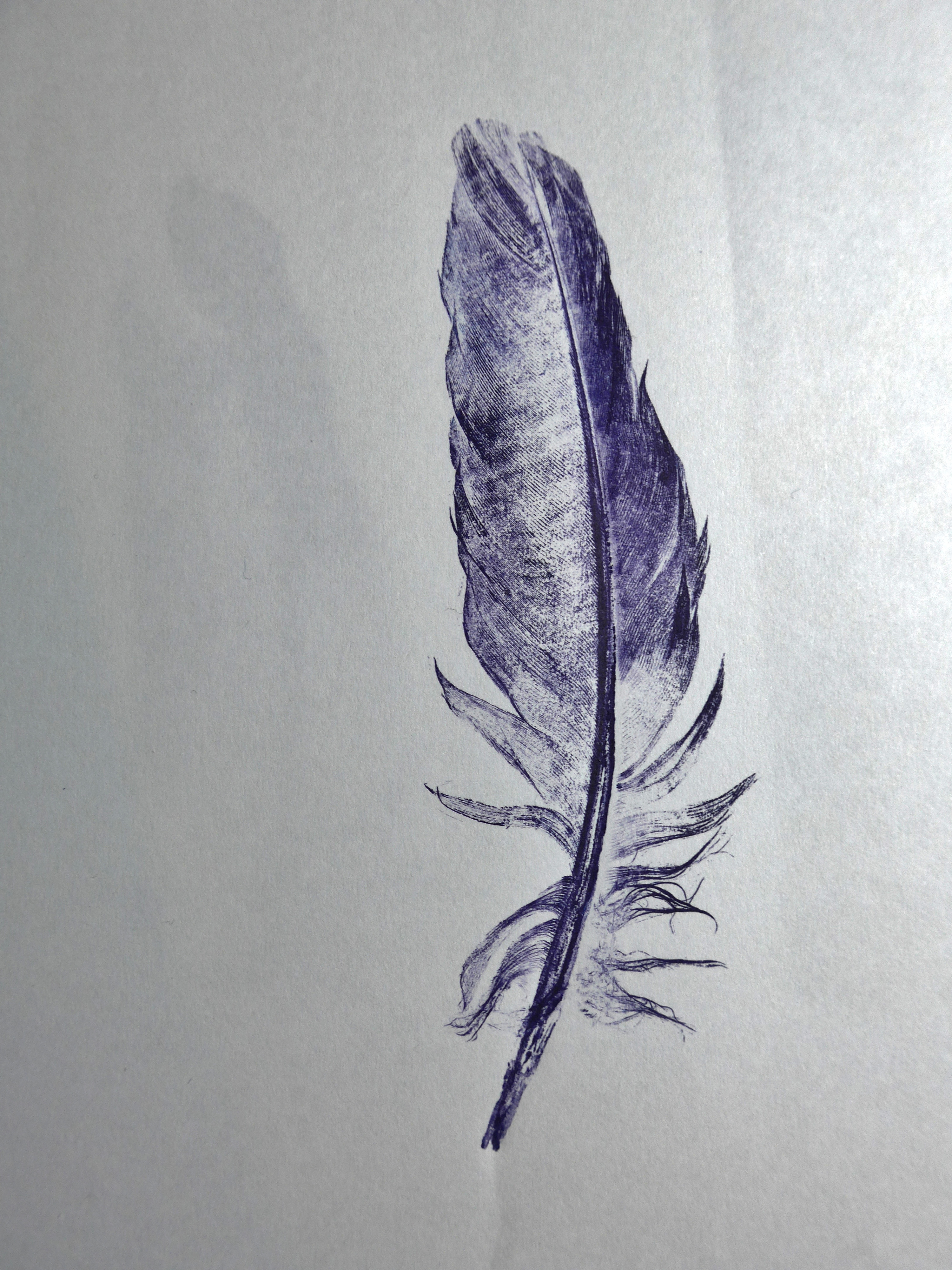 Print of a feather by printmaker collagraph artist Diane Young