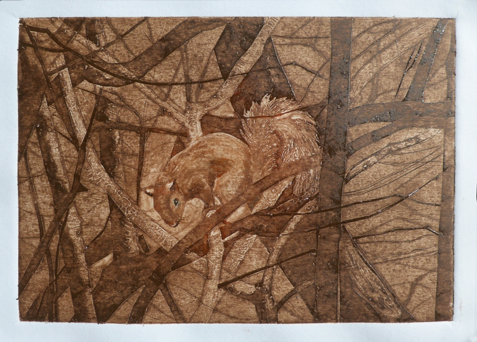 Collagraph hand pulled original print of squirrel in a tree by printmaker artist Diane Young